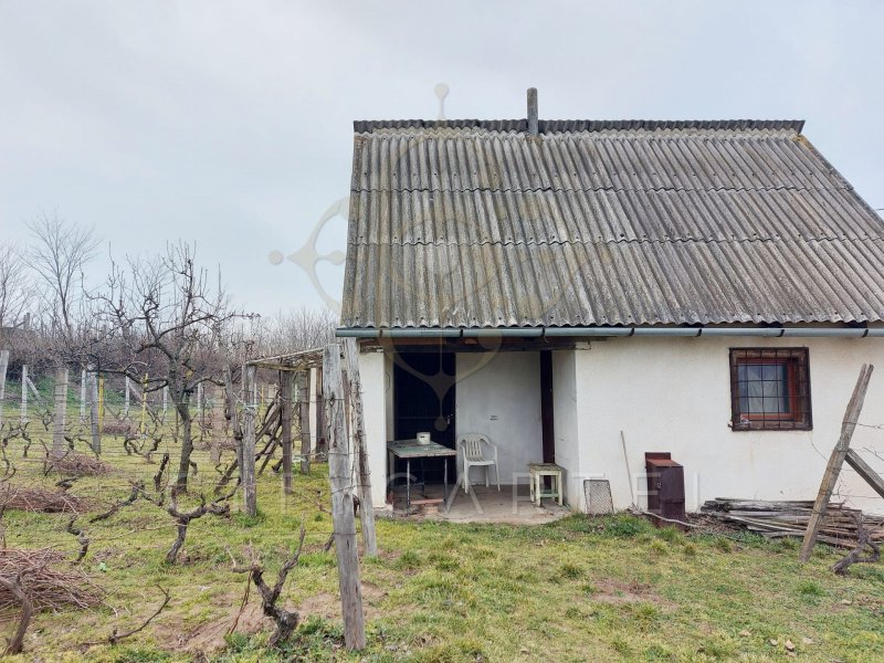 Panorámás, belterületi gyümölcsös présházzal eladó Bölcskén!