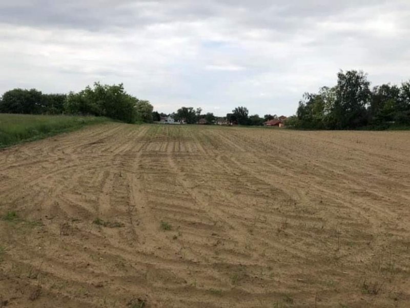 Nyíregyháza- Borbánya építési telek eladó