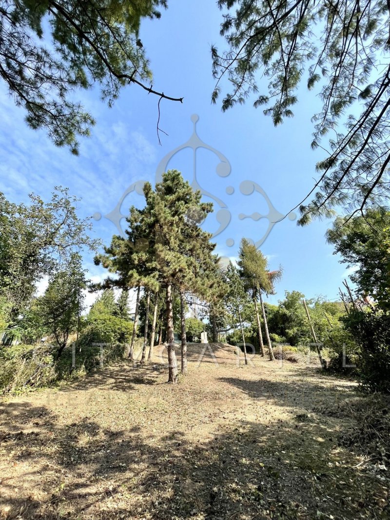 XII. kerületi természetközeli panorámás telek