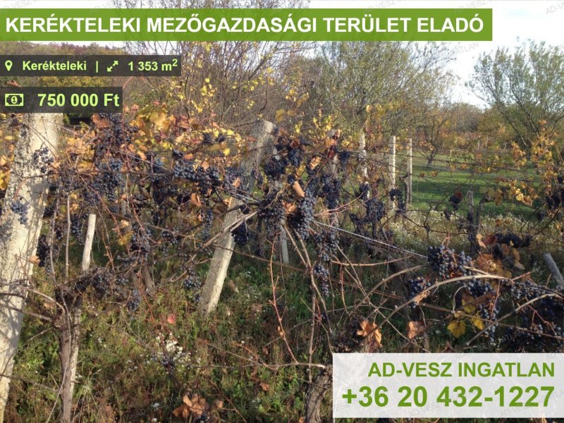 KERÉKTELEKI MEZŐGAZDASÁGI TERÜLET ELADÓ