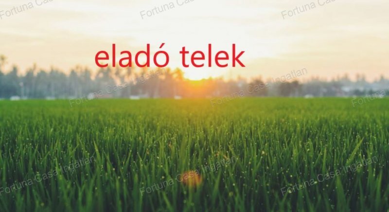 A város déli részén külterületi telek eladó!