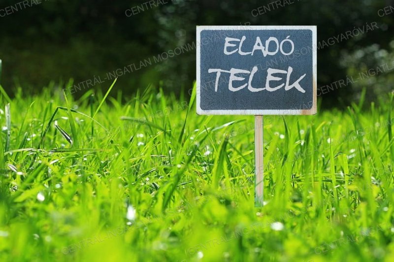 Közvetlenül az osztrák határ mellett telkek eladók!