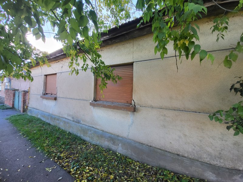 Vadregényes kalandozás