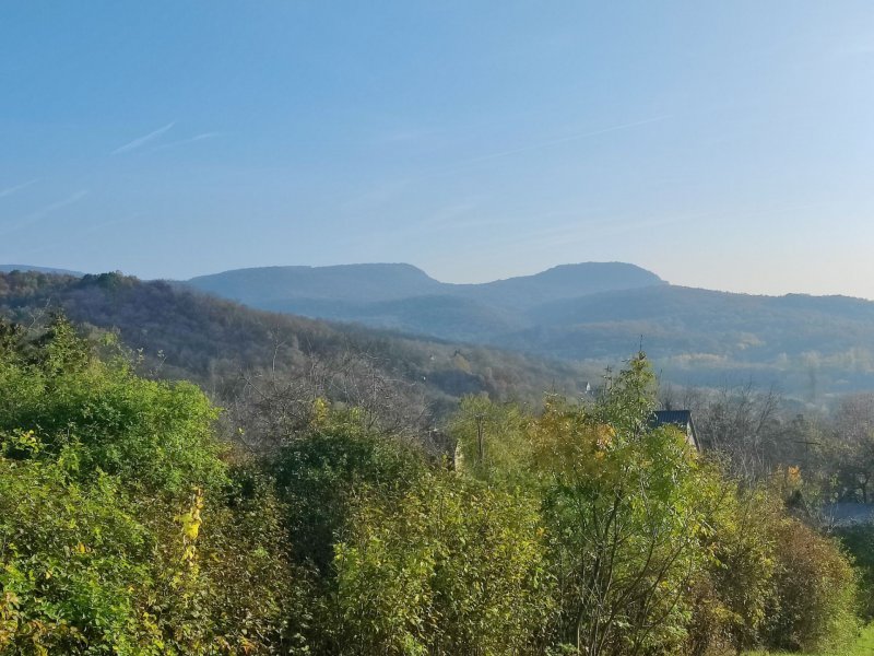 Panorámás présház eladó Szarvashegyen!