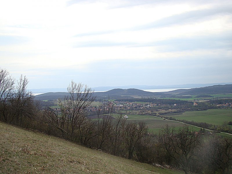 CSODÁLATOS, többek között BALATONI PANORÁMÁS, nagy zártkerti ingatlan gazdasági épülettel eladó Pécsely Öreghegyen.