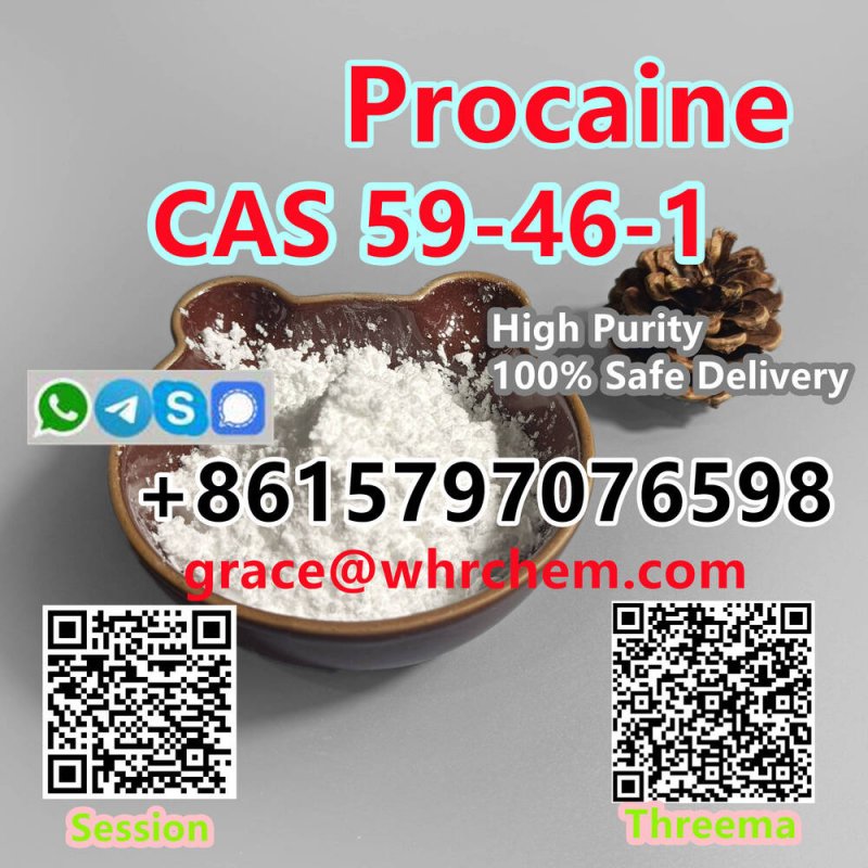 CAS 59-46-1 Procaine High Purity 100% Safe Delivery