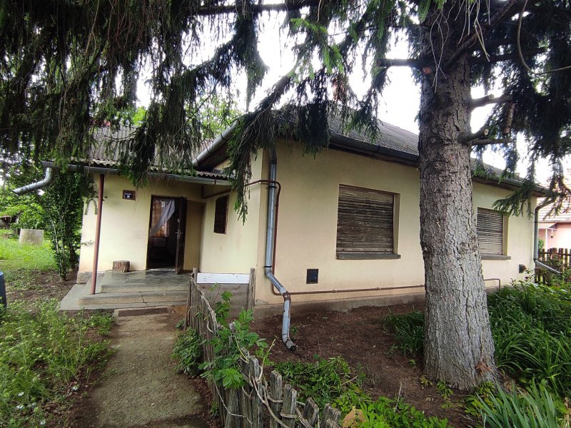 Három szobás felújítandó családi ház Butykán eladó