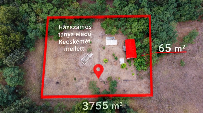 Erdei környezetben házszámos tanya (építési telek) eladó!