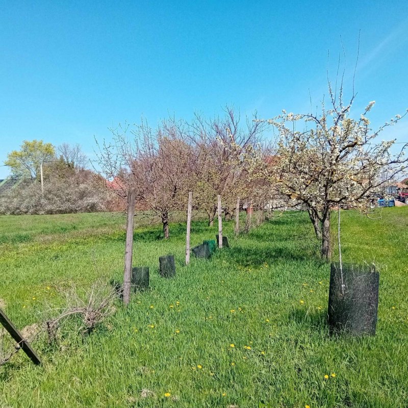 Mezőtúron eladó csendes helyen, belterületi telek, 3132 nm !