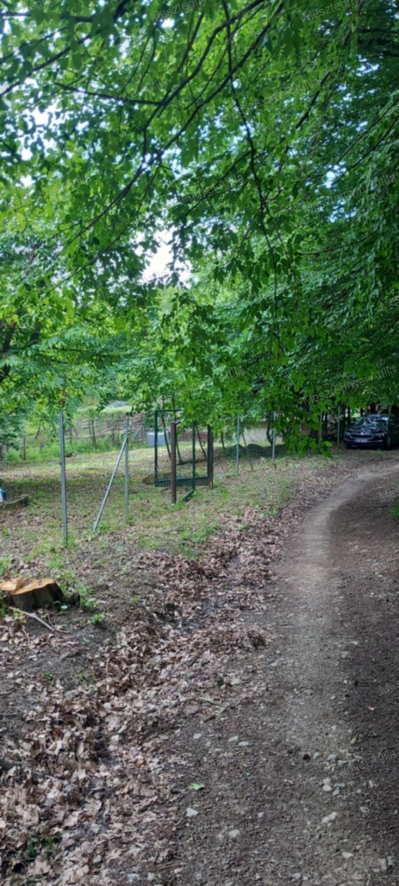 Sopron, Kutyahegy tetején ELADÓ külterületi telek – 7850 m²!