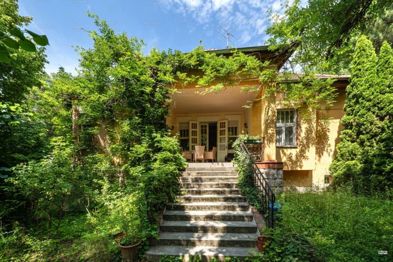 Exkluzív villa Németvölgy és Orbánhegy határán – Elegancia és kényelem egy helyen!