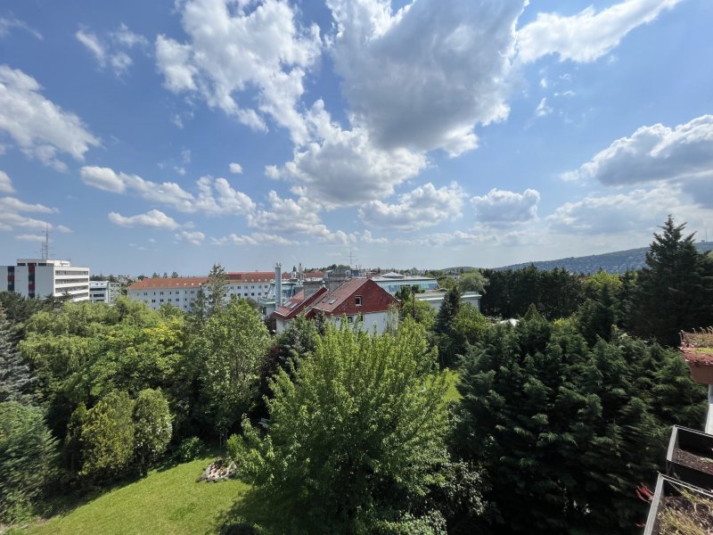 KIVÉTELES PANORÁMÁS OTTHON A RÓZSADOMB SZÍVÉBEN!