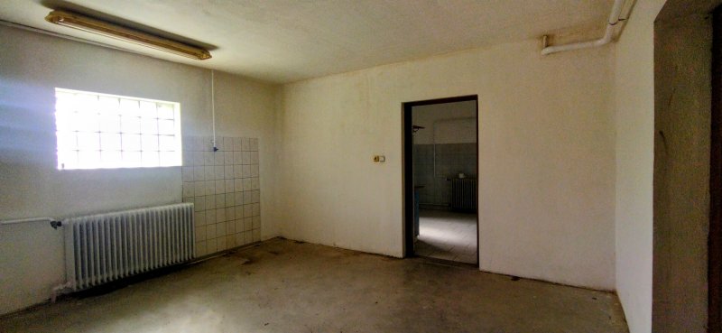 Eladó Békésen két generációs, vállalkozásra alkalmas nagy családi ház melléképülettel!