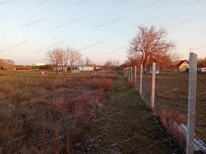Kecskemét, Úrihegyben 3979m2-es, kissé szabálytalan alakú, közmű nélküli hobbi telek eladó. 