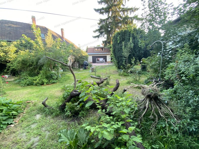 Kecskemét belvárosában 889m2-es telek, rajta 2 épület, egy kb. 140m2-es régi cs.ház és egy új garzon.