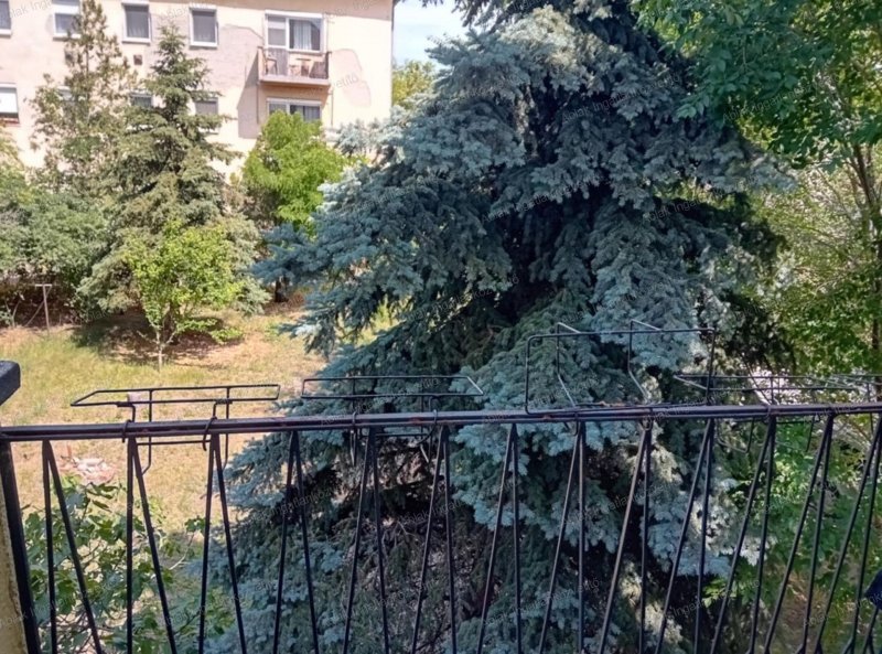Kecskemét, Reptéri lt. zöldövezetben 42m2-es, 1 szobás, erkélyes lakás eladó, klímás, szép állapotú lakás eladó!