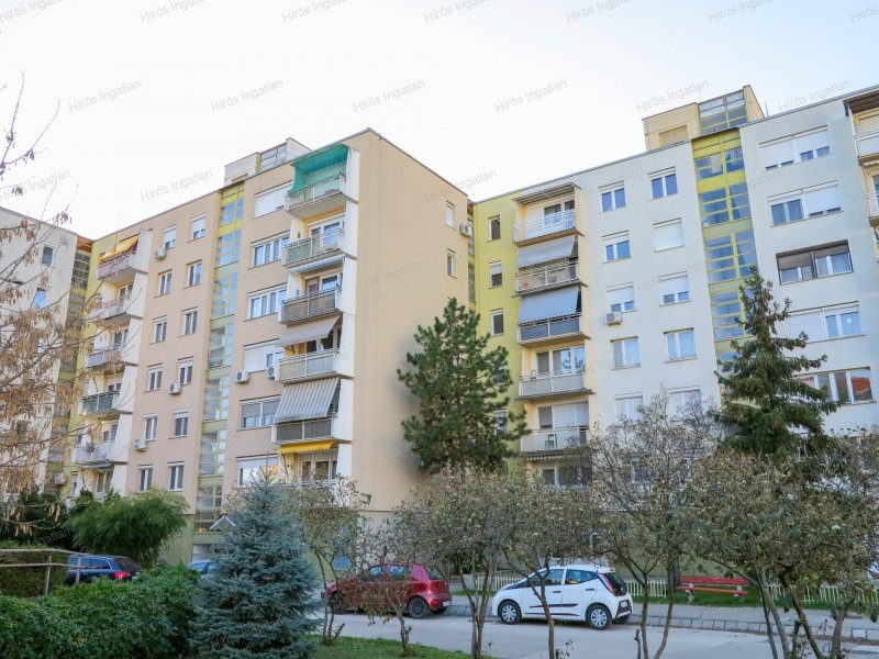 KIADÓ LAKÁS KECSKEMÉT SZÍVÉBEN!!
