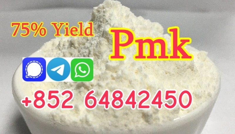 buy new pmk powder with high yield in stock