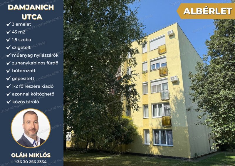 Kaposváron a Damjanich utcában kiadó egy, azonnal költözhető, 43 m2-s, 1,5 szobás, gépesített és bútorozott téglalakás.