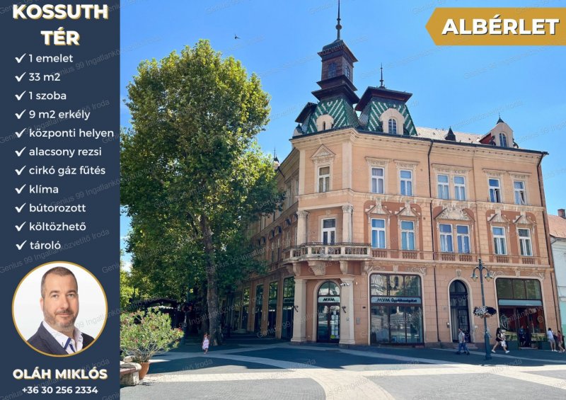 Kaposvár városközpontjában a Kossuth téren kiadó egy, 1. emeleti, 33 m2-s, 1 szobás, bútorozott, klímás, azonnal költözhető téglalakás.