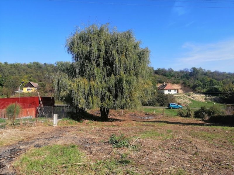 GOMBA-FELSŐFARKASD községben ELADÓ egy 1719 m²-es BELTERÜLETI,  ÉPÍTÉSI TELEK JÓ ÁRON!