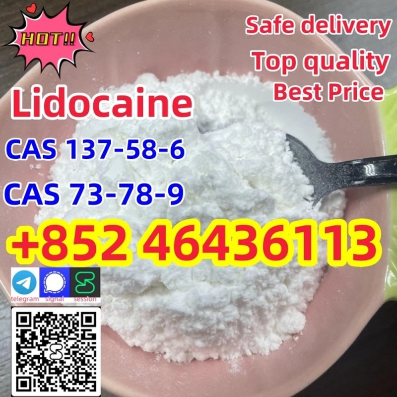 CAS 137-58-6 Lidocaine Xylocaine powder Safe Customs Clearance Door to Door  Add +852 46436113