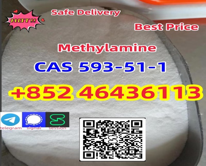 CAS 593-51-1 Methylamine hydrochloride Factory Supply High Purity 100% Safe Delivery   Add +852 46436113