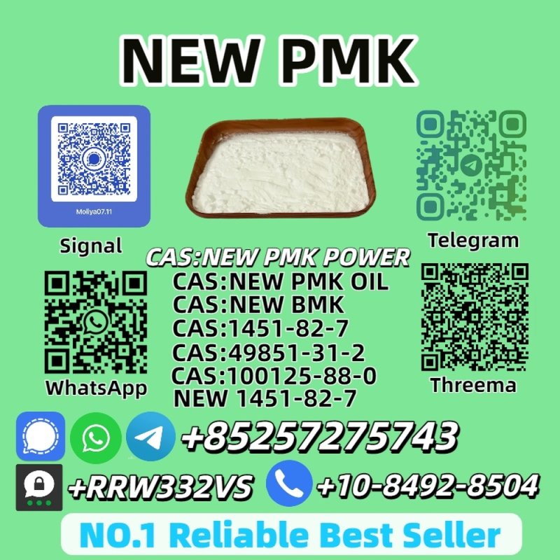 High-Grade New B.M.K P.owder 5449-12-7 Fast Delivery