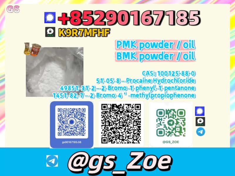 Verified Supplier B.M.K 5449-12-7, P.M.K 28578-16-7 1451-82-7