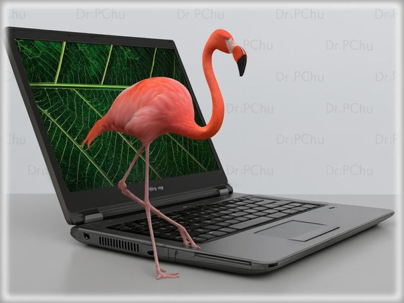 Laptop NEKED: Fujitsu LifeBook E559 -11.21