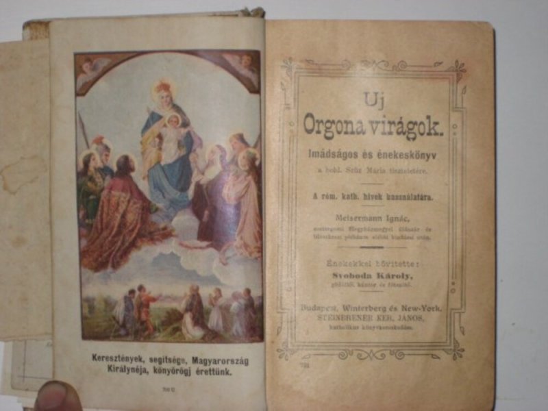 Meisermann Uj Orgona virágok