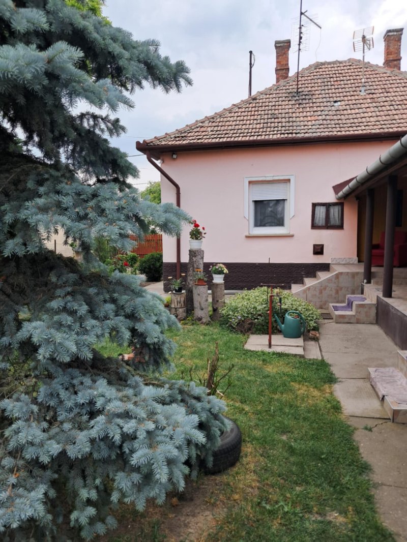 Zagyvarékas, családi ház eladó!