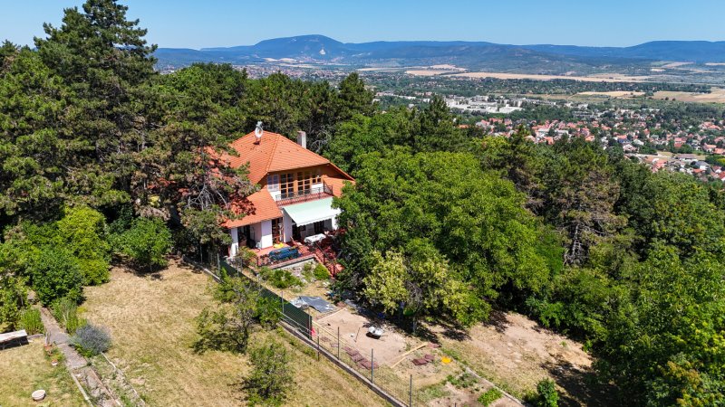 Tágas családi otthon wellness részleggel, természetközeli, csendes környezetben – 400 m² nyugalom Budapest közelében
