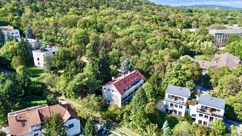 Tágas, jó állapotú otthon, kertkapcsolattal Budapest II. kerületében – Ideális választás pároknak és családoknak!"