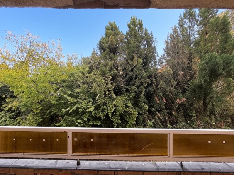 Eladó Budapest XII. kerületének gyöngyszeme: 43 m²-es, felújított egyszobás lakás Kútvölgy csendes, zöld övezetében