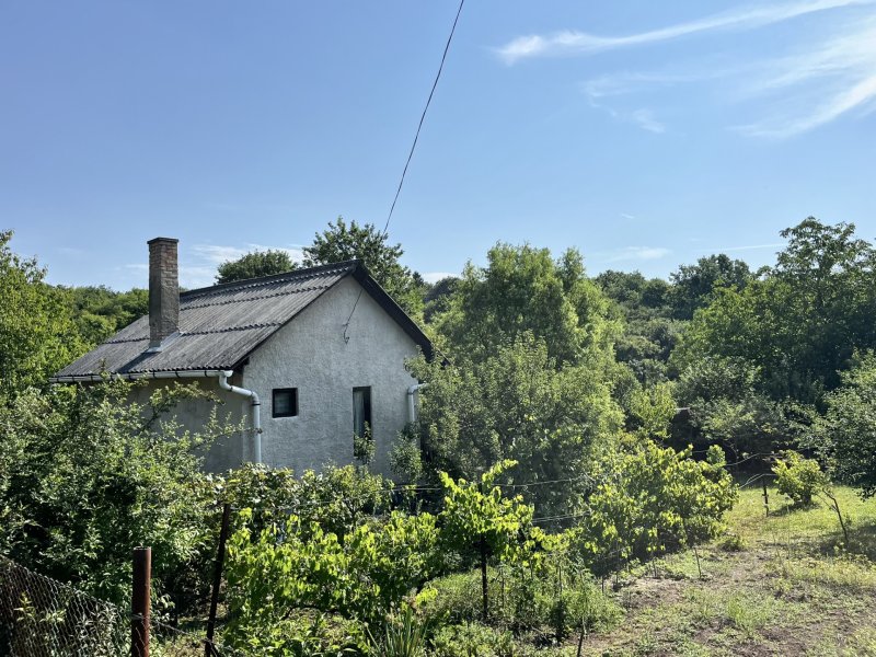 Eladó nyaraló Pingyonon – aszfaltozott út, panoráma, stabil ház, gondozott gyümölcsös kert 