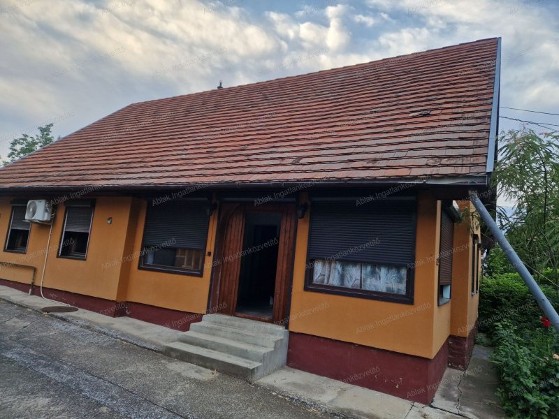 Siófoktól pár percre, Balatonszabadiban, kétszintes 5szobás családi ház, dupla garázzsal Üzlettel eladó.