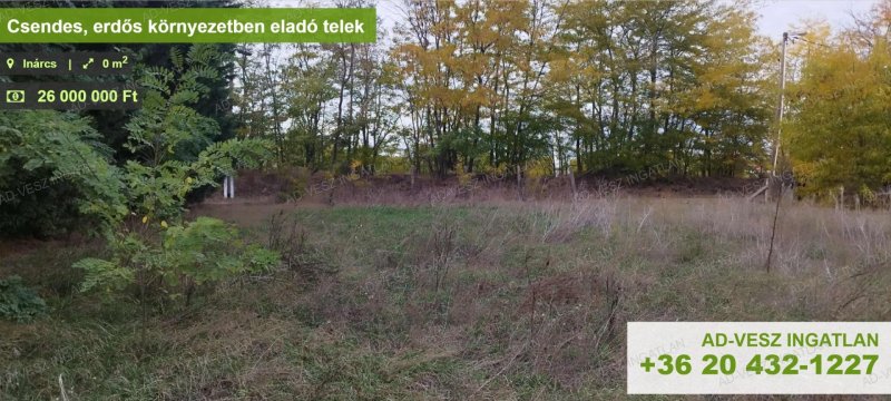 Csendes, erdős környezetben eladó telek