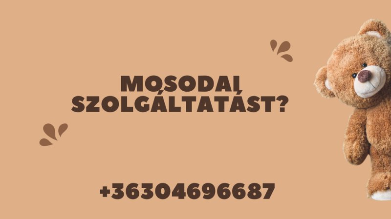 Mosodai szolgáltatás háztól, házig