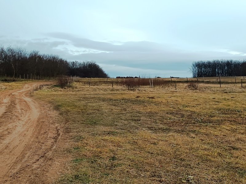 Eladó 1314 m2-es mezőgazdasági telek Őrbottyánban.