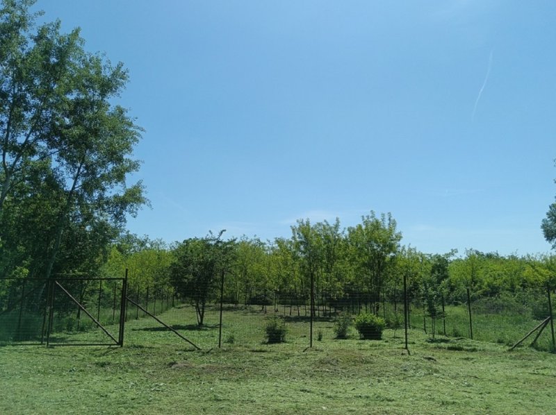 Monorierdőn, belterületi, 580 m2-es, építési telek