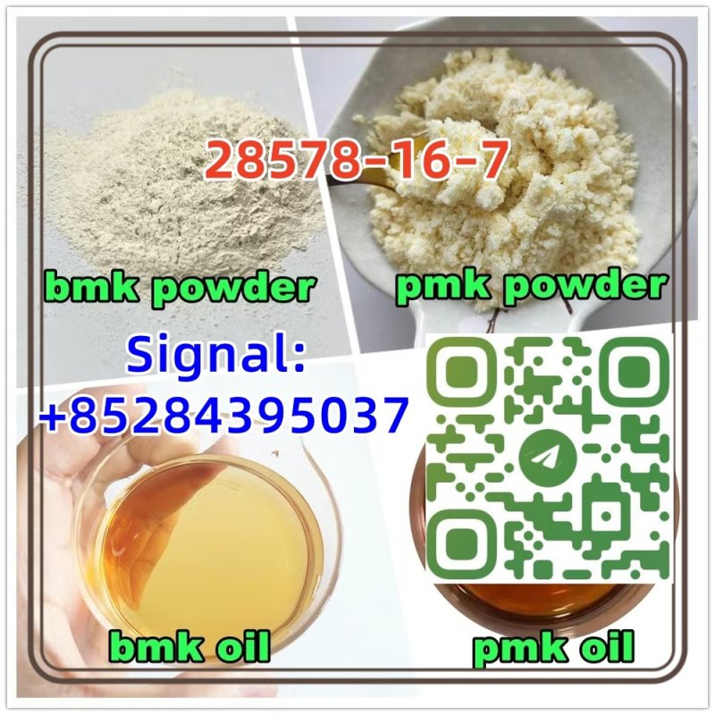 CAS 28578–16–7 PMK ethyl glycidate  PMK POWDER hot sale