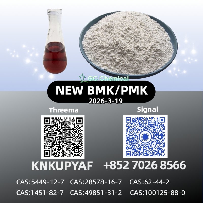28578-16-7 Manufacturer Price P.MK B.MK Powder/Oil CAS 5449-12-7