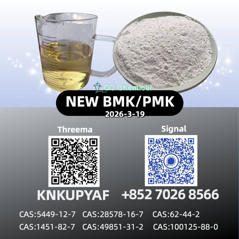 28578-16-7 Global Shipping Available CAS 5449-12-7 B.MK P.MK Powder