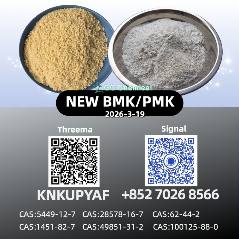 P.MK Powder | CAS 28578-16-7 Direct Production Source | 5449-12-7 B.MK