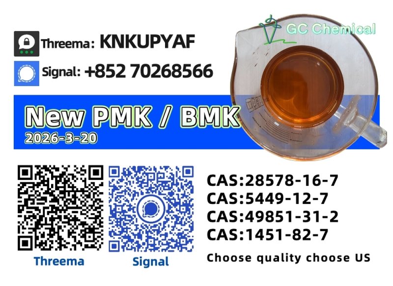 High Purity P.M.K Oil CAS 28578-16-7 for Direct Manufacturer