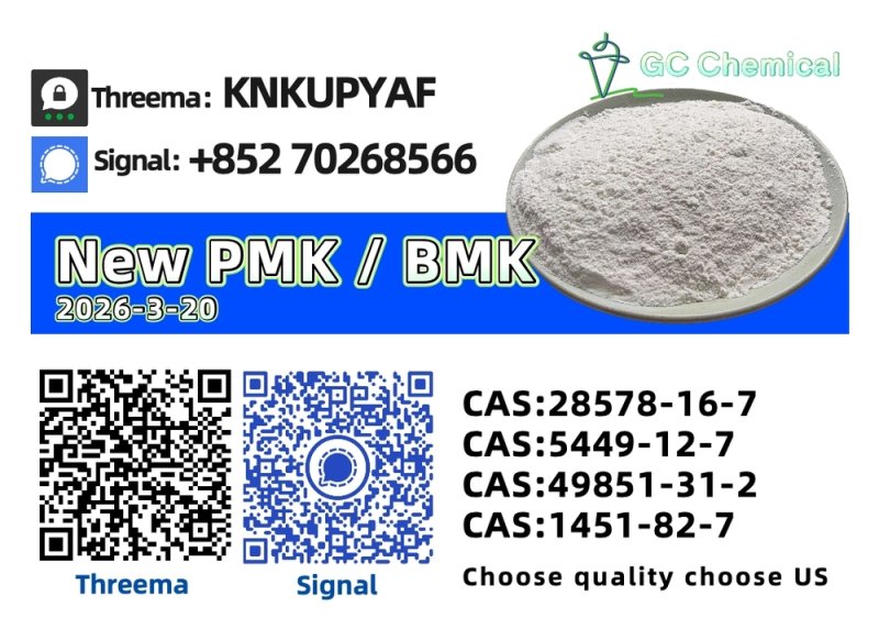 High-Grade P M K Oil (CAS 28578-16-7) | Manufacturer Price
