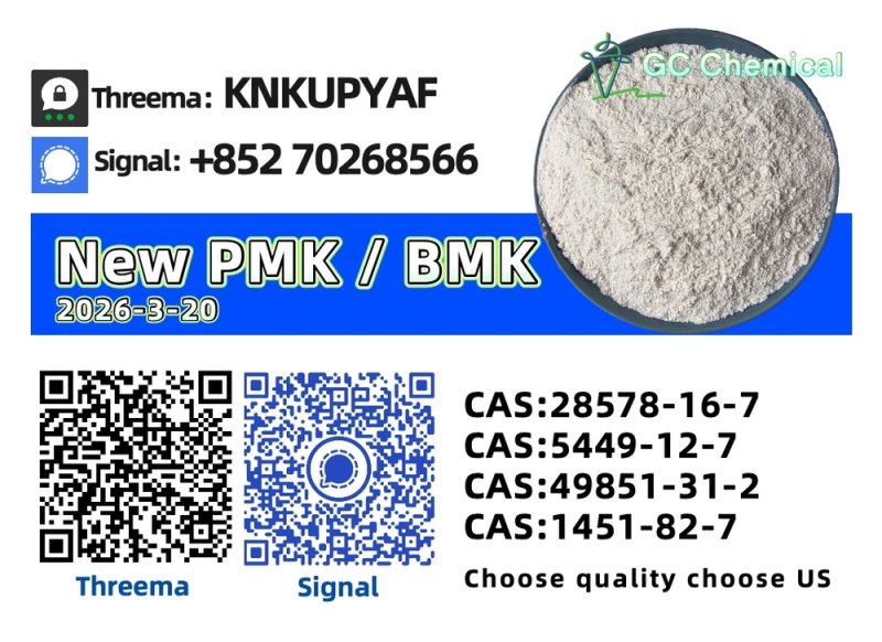 High-Quality P M K Oil CAS 28578-16-7 | Premium Supplier