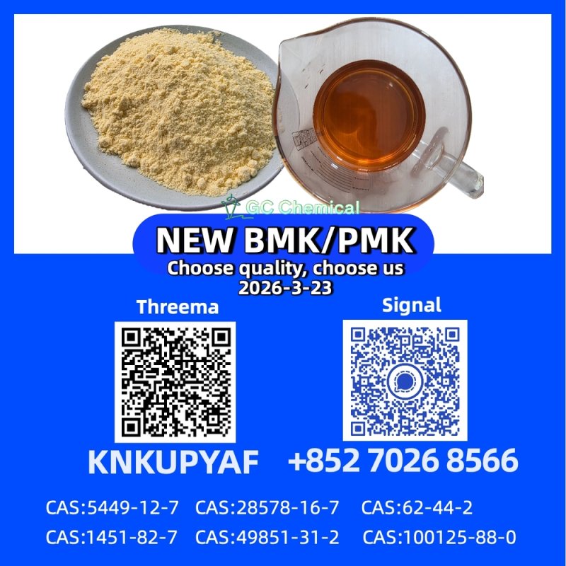 Bulk Stock 28578-16-7 P.M.K CAS 5449-12-7 New B..M.K Powder Oil