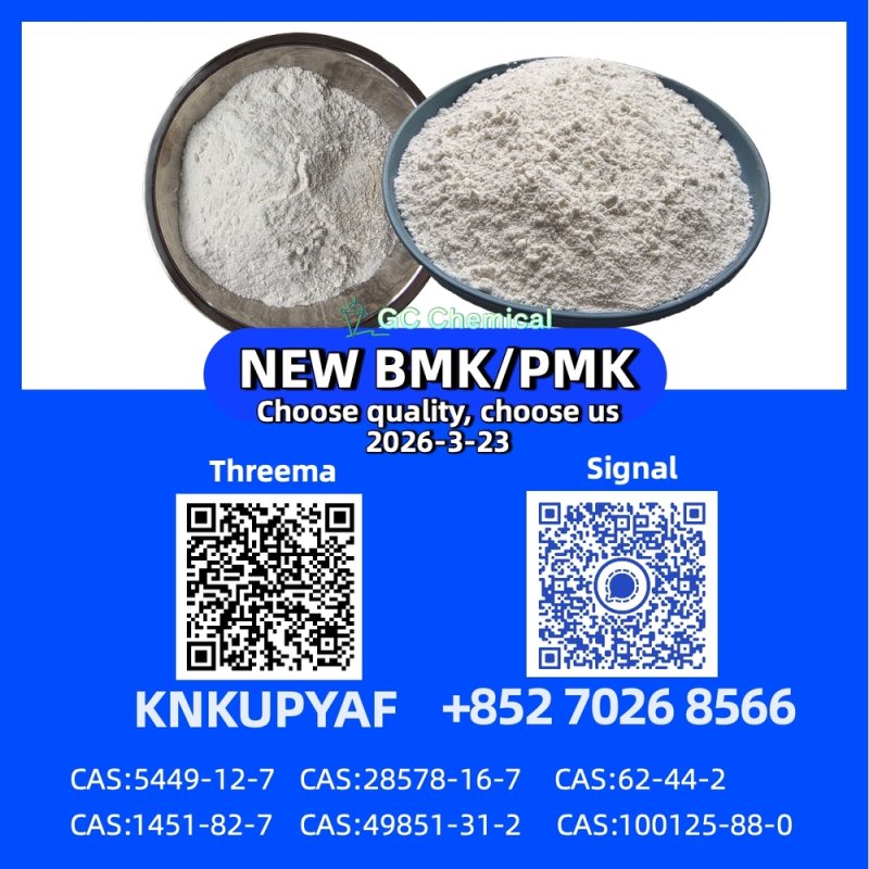 Stock Supply 28578-16-7 P.M.K B.M.K CAS 5449-12-7 New Powder/Oil